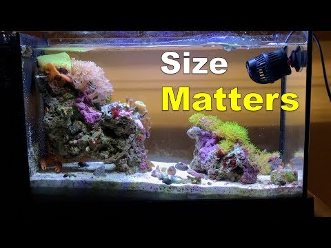 fluval evo 13 5