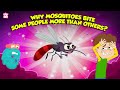 Mosquito Behavior and Prevention Quiz