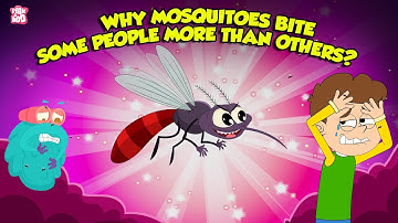 Why Mosquitoes Bite Some People More Than Others? | Mosquito Facts | The Dr. Binocs Show