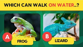 Wildlife Trivia Challenge Can You Get A Perfect Score? Bet You Cant Get 2020