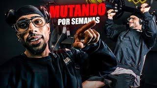 MUTANDO por SEMANAS | ENTRENO DE HOMBROS + EMPEZAMOS LAS OBRAS DEL GYM