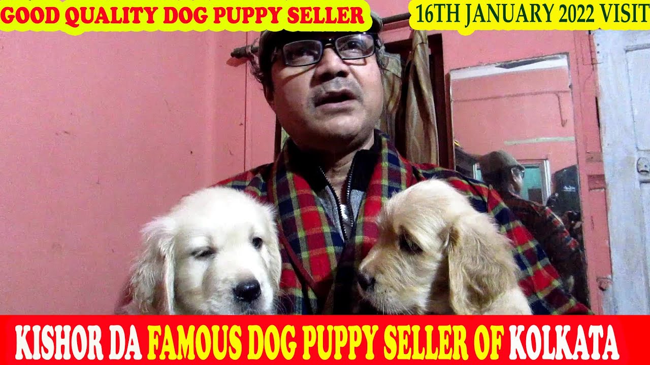 CHEAPEST & GOOD QUALITY DOG PUPPY SELLER | KISHORE DA OLDEST PUPPY SELLER OF KOLKATA |16TH JAN 2022