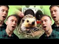 Фліт ЇЖАЧОК A Capella Cover 