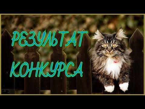 РЕЗУЛЬТАТ КОНКУРСА!