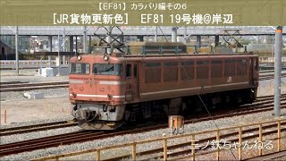 【EF81】カラバリ編その6　[JR貨物更新色] EF81 19 @岸辺(2011年)