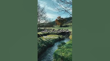 سورة الانعام الايه 142-143