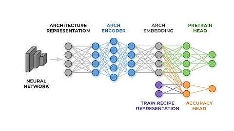 FBNetV3: Auto-Designing Neural Networks 50x Faster