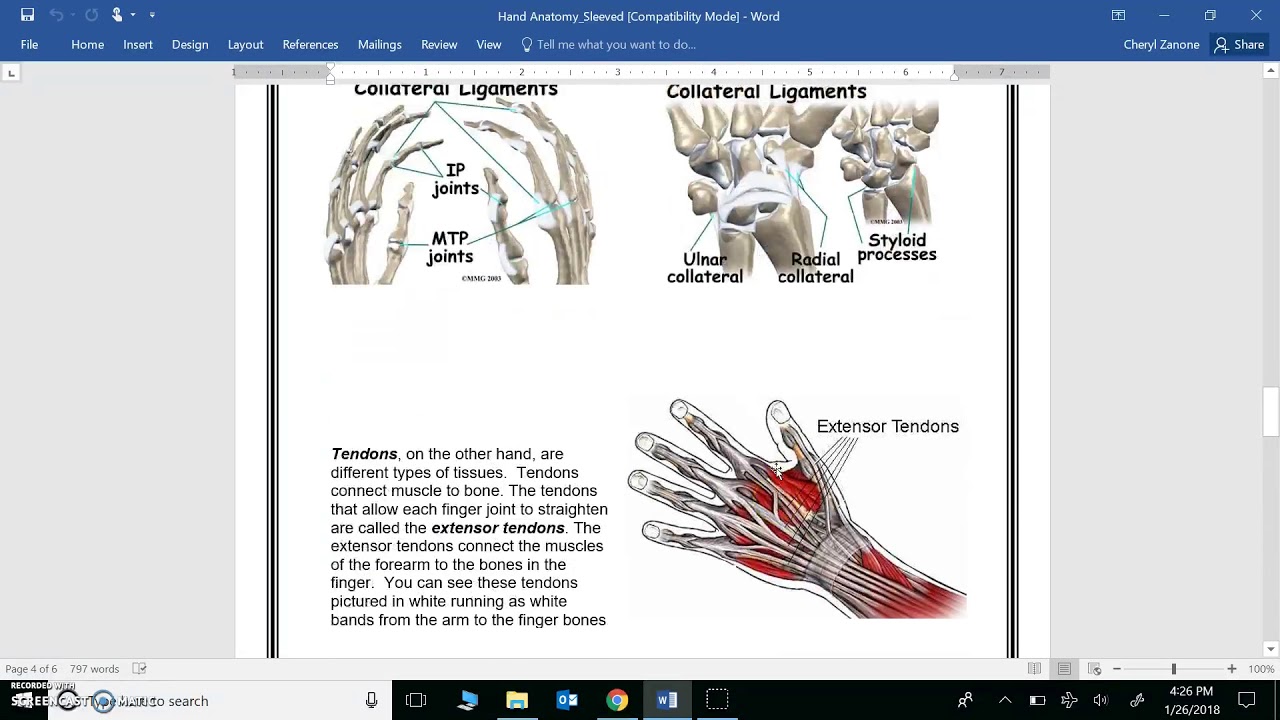Hand Anatomy: Ligaments & Tendons - YouTube
