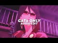 Gata only  tiktokremix floyymenor ft cris mj edit audio