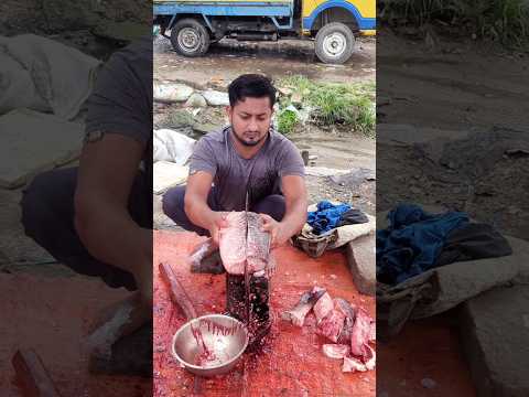 Amazing Fish Cutting Skills😳😍 #Shorts #youtubeshorts