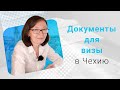 Какие документы нужны для студенческой визы в Чехию? Режим Студент и стандартное оформление визы