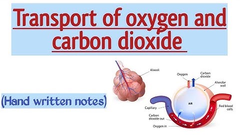 Transport of oxygen and carbon dioxide l Urdu lecture l learn with aroosa waheed