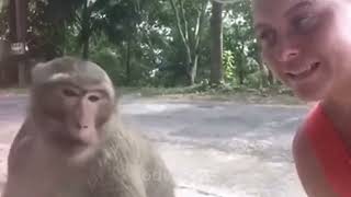 funny animal | funny video | #funnyvideo