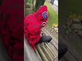SeSo-Spowiedź soundcloud:https://soundcloud.com/grzegorz-piechowski-589051241