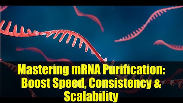 Mastering mRNA Purification: Boost Speed, Consistency & Scalability