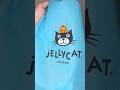 GUESS what JELLYCAT is in the bag!