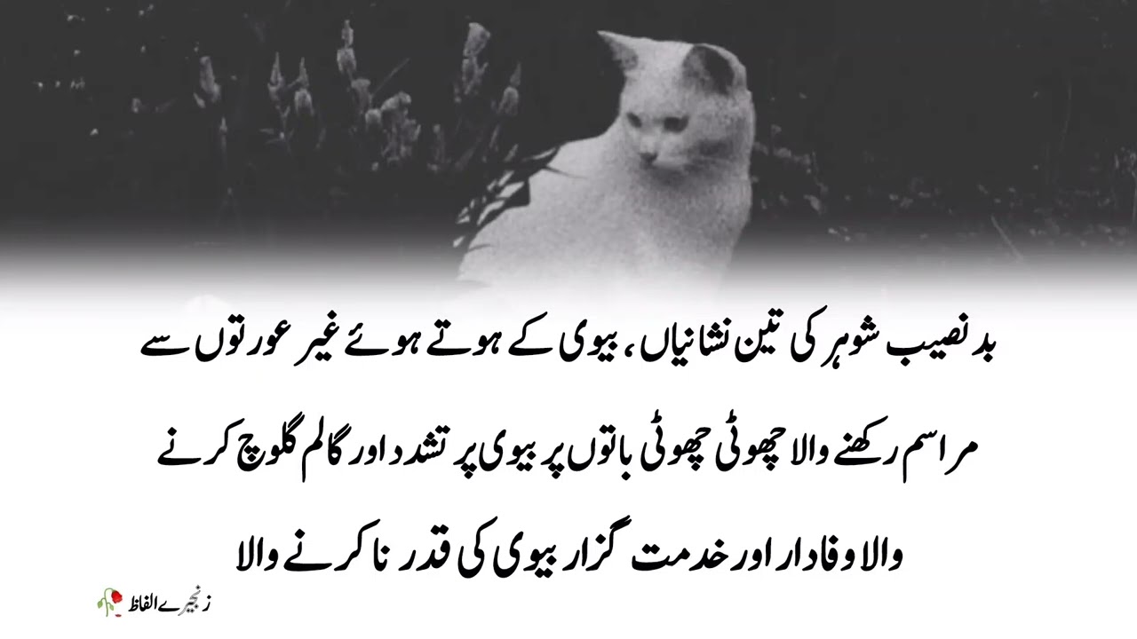 Bad naseeb shohr ki teen nishaniyan | Deep Lines 🥀 |WhatsApp status | Quotation about man subscribe