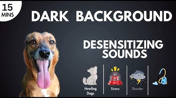 Desensitizing Sounds Howling, Sirens, Thunder, Vacuums Overcome Triggers for Reactive Sensitive Dogs