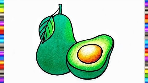 How to Draw Avocado Step by Step || Easy Avocado Drawing Colour || Avocado Drawing for Beginners..