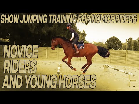 Show Jumping Training for Novice Riders — Accuracy & Rhythm