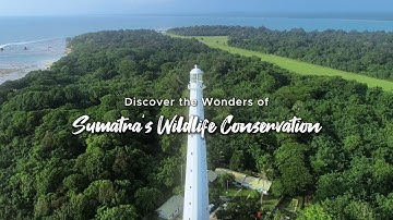 Discover the Wonders of Sumatra