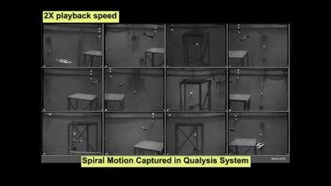 Gliding robotic fish spiraling in NBRF