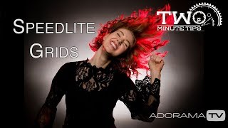 Famous Speedlite Grids: Two Minute Tips with David Bergman Profile