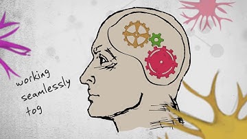 HRMS and ERP data "Integrated" in one System