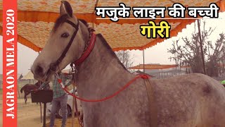 Jagraon Mela 2020-मेले में अाई मजूके लाइन की बच्ची गोरी