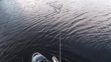 Toxic Baits Wake n Crank Cast2Catch