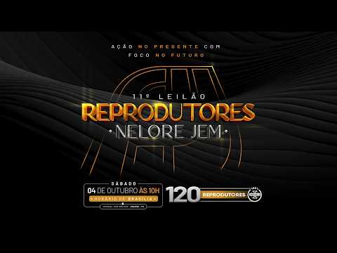 LOTE 05   AMJM 842