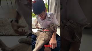 Download Lagu Perpisahan Terakhir dengan Sahabat Tersayang MP3