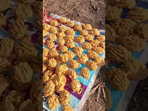 Ganny Ka Ras Apna He Swad Rakta Hai Samitarar 