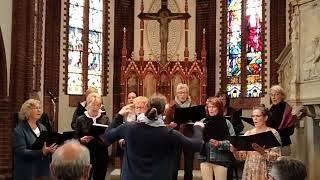 Du bist da. Chor der Lukaskirche Lauenau