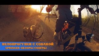 На велосипеде с собакой. Стрингер На велосипеде с собакой. Стрингер