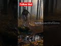 Rescue Dog Leads Humans to Trapped Deer 🦌🐾 #reacttvfilms #wildlife #dog #trending #shorts #viral #yt