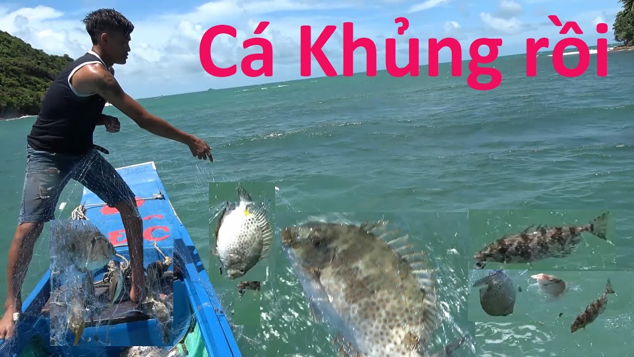 Cao thủ ra tay Bắt cá, Thả ngay bầy cá rìa bông khủng/ catch fish - YouTube