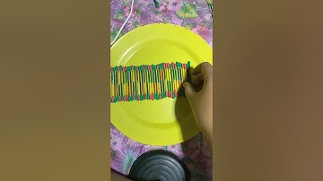 DNA MODEL PROJECT