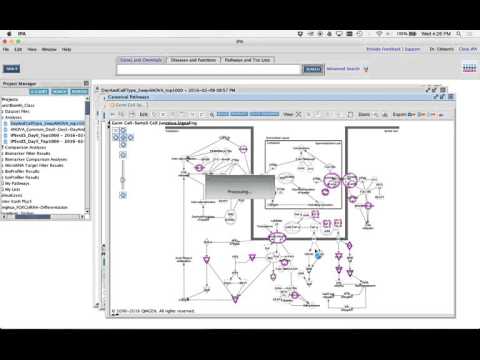 FunctBioinfo2016_Day3pt7_Pathways And Adding Genes In IPA