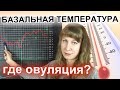 БАЗАЛЬНАЯ ТЕМПЕРАТУРА: РАСШИФРОВКА ГРАФИКА БТ, ПРИЗНАКИ ОВУЛЯЦИИ И ИМПЛАНТАЦИИ