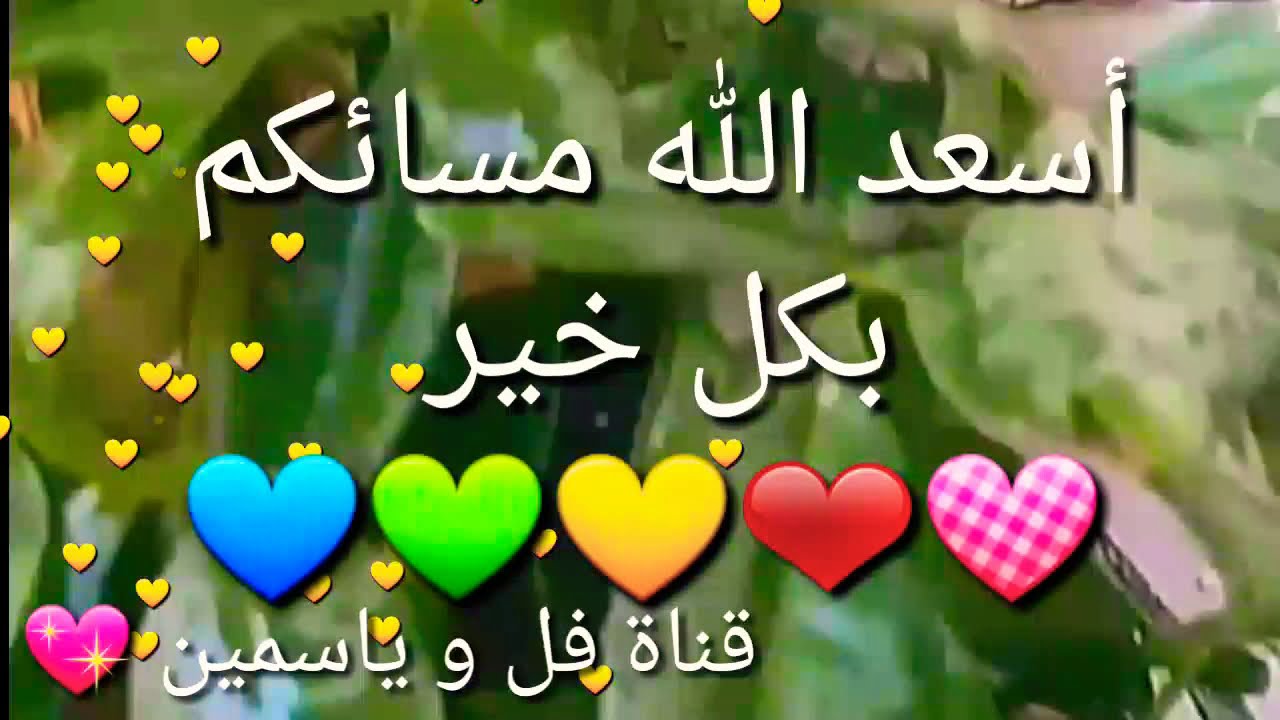 زهرة الياسمين أسعد الله مسائكم بكل خير Youtube
