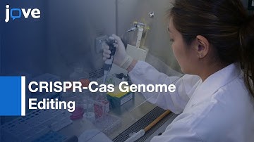 CRISPR-Cas Genome Editing in Mammalian Cell Lines | Protocol Preview