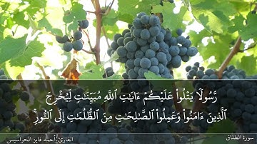 الصفحة 559 سورة الطلاق بصوت القارئ المهندس أحمد فايز الحراسيس