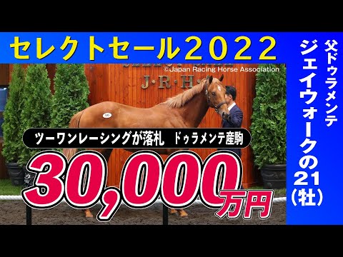 【セレクトセール2022】高額続くドゥラメンテ産駒　ジェイウォークの２１は３億円でツーワンレーシングが落札≪東スポ競馬ニュース≫