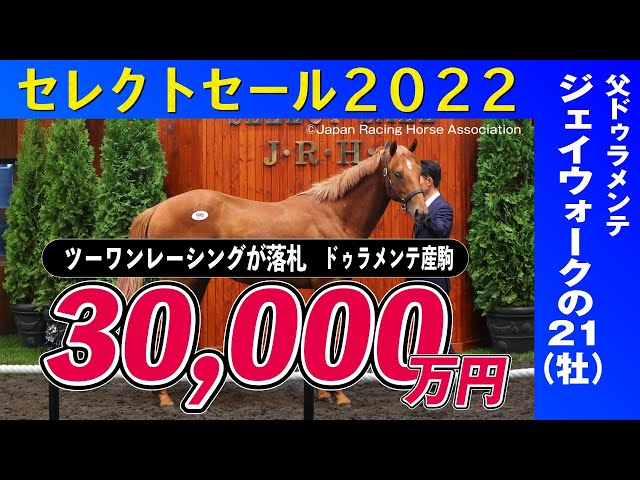 【超貴重】競馬　ドゥラメンテ　グラス 超貴重】競馬 ドゥラメンテ グラス f9c0cc36e79221c8f8bfebd5e7a0d1