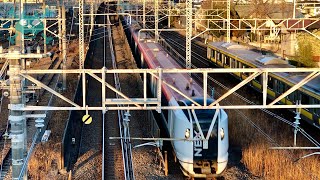 【JR東日本 総武線】夕暮れの総武線を走る電車と敷詰められた線路を眺める  E231系 E259系  E235系 新小岩信号場【乗り物 路線 図鑑】2023.2