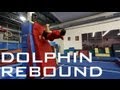 Dolphin Rebound (Wall Front to Back) | Nick Provost