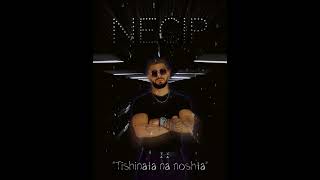 Necip - &quot; Tishinata na noshta &quot; / &quot; Тишината на ноща &quot; (Official Music ), 2024