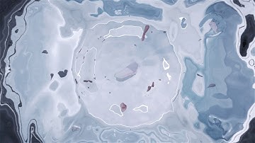 MEIZU 16 - Pursuit from Passion