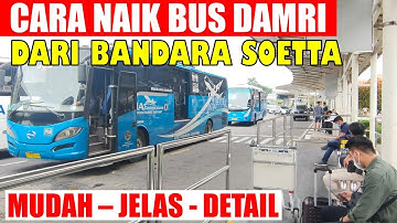 Cara Naik BUS DAMRI Dari Terminal 1 Bandara Soekarno Hatta Ke Kota Lainnya